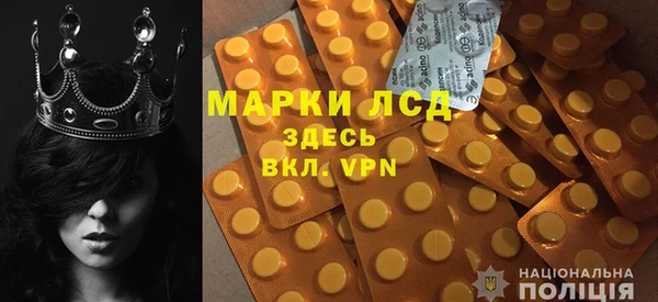 ГАЛЛЮЦИНОГЕННЫЕ ГРИБЫ Алексин
