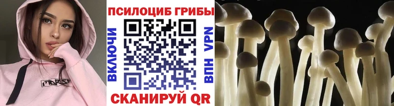 Псилоцибиновые грибы ЛСД  Сенгилей 